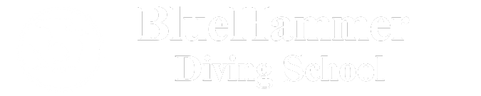 BlueHammer Diving School｜熱海の海で、新しい自分に出会う